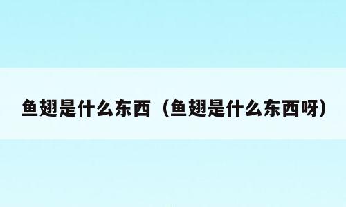 鱼翅是什么东西（鱼翅是什么东西呀）