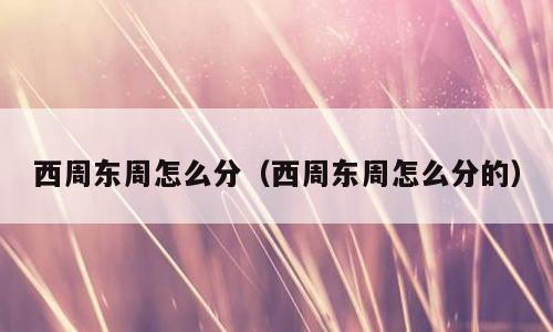 西周东周怎么分（西周东周怎么分的）