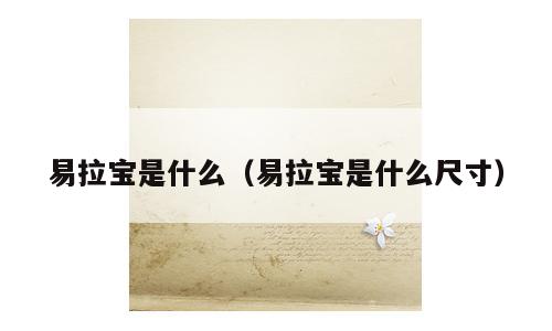 易拉宝是什么（易拉宝是什么尺寸）