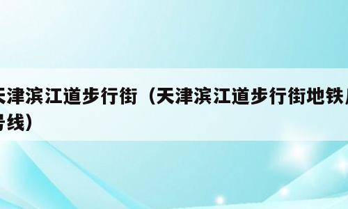 天津滨江道步行街（天津滨江道步行街地铁几号线）