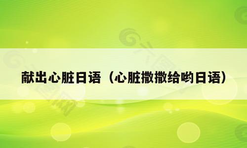 献出心脏日语（心脏撒撒给哟日语）