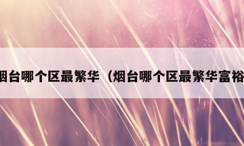 烟台哪个区最繁华（烟台哪个区最繁华富裕）