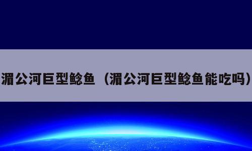 湄公河巨型鲶鱼（湄公河巨型鲶鱼能吃吗）