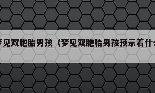 梦见双胞胎男孩（梦见双胞胎男孩预示着什么）