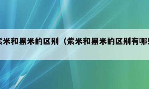 紫米和黑米的区别（紫米和黑米的区别有哪些）