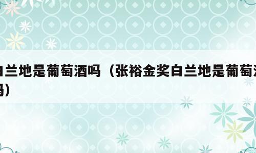 白兰地是葡萄酒吗（张裕金奖白兰地是葡萄酒吗）