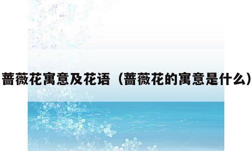 蔷薇花寓意及花语（蔷薇花的寓意是什么）