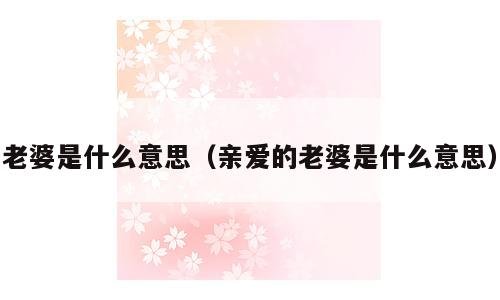 老婆是什么意思（亲爱的老婆是什么意思）
