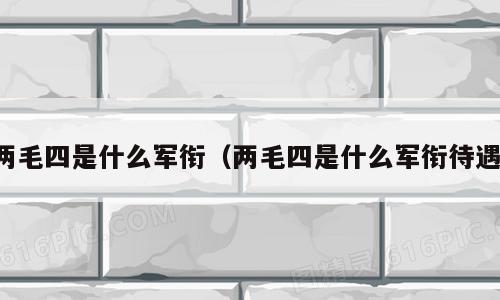 两毛四是什么军衔（两毛四是什么军衔待遇）