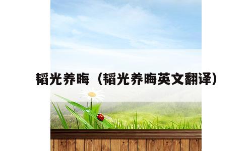 韬光养晦（韬光养晦英文翻译）