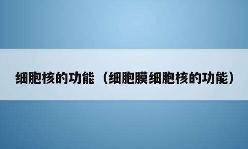 细胞核的功能（细胞膜细胞核的功能）