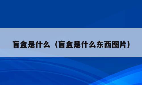 盲盒是什么（盲盒是什么东西图片）