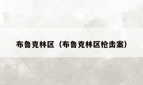 布鲁克林区（布鲁克林区枪击案）