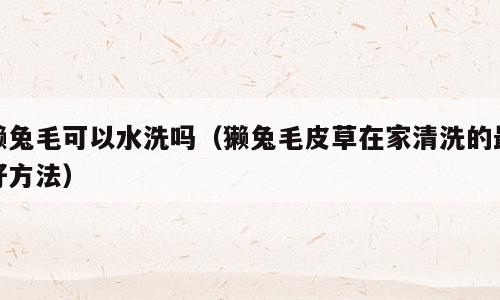 獭兔毛可以水洗吗（獭兔毛皮草在家清洗的最好方法）