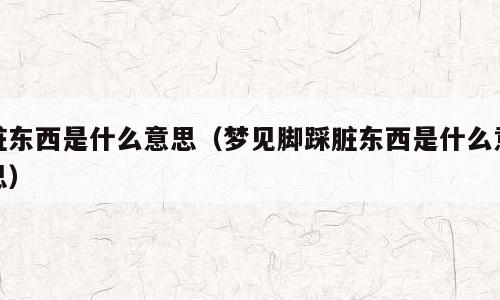 脏东西是什么意思（梦见脚踩脏东西是什么意思）