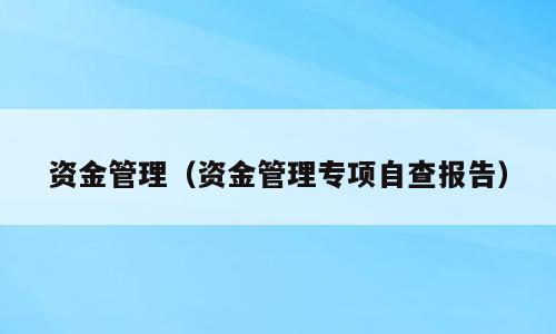 资金管理（资金管理专项自查报告）