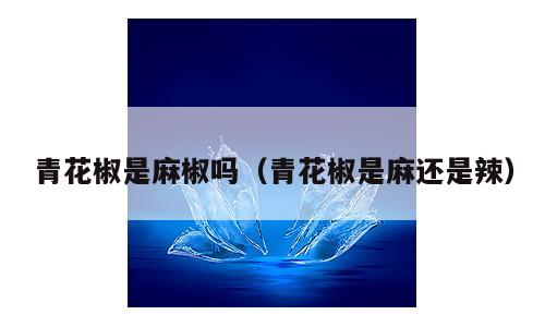 青花椒是麻椒吗（青花椒是麻还是辣）