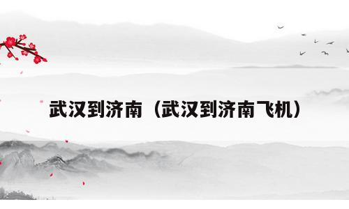 武汉到济南（武汉到济南飞机）