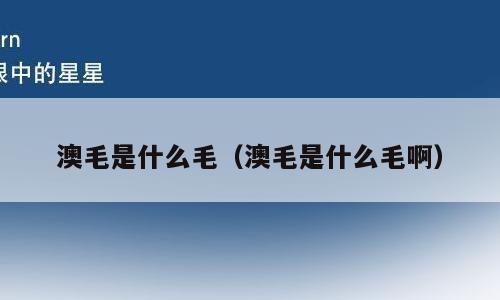 澳毛是什么毛（澳毛是什么毛啊）