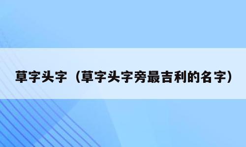 草字头字（草字头字旁最吉利的名字）