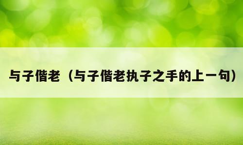 与子偕老（与子偕老执子之手的上一句）