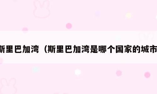 斯里巴加湾（斯里巴加湾是哪个国家的城市）