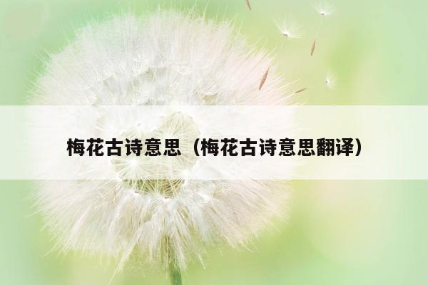梅花古诗意思（梅花古诗意思翻译）