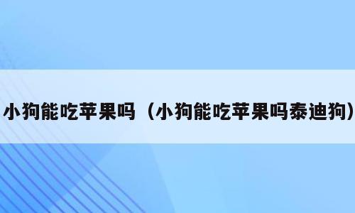 小狗能吃苹果吗（小狗能吃苹果吗泰迪狗）