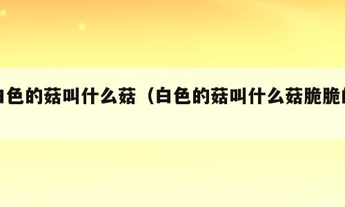 白色的菇叫什么菇（白色的菇叫什么菇脆脆的）