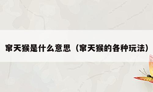 窜天猴是什么意思（窜天猴的各种玩法）