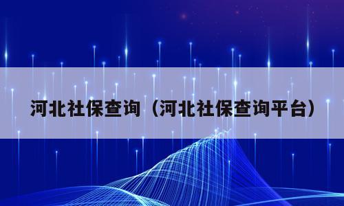 河北社保查询（河北社保查询平台）