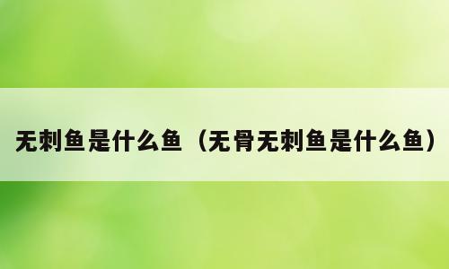 无刺鱼是什么鱼（无骨无刺鱼是什么鱼）
