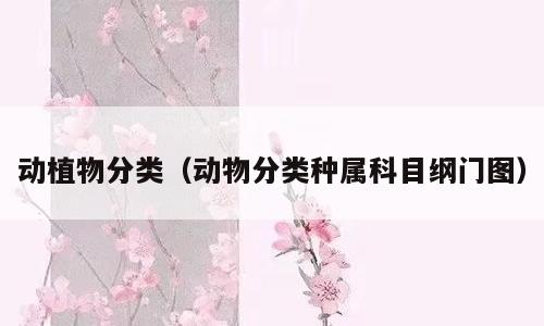 动植物分类（动物分类种属科目纲门图）