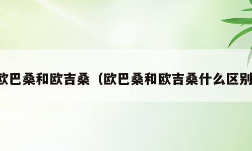 欧巴桑和欧吉桑（欧巴桑和欧吉桑什么区别）