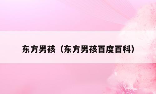 东方男孩（东方男孩百度百科）
