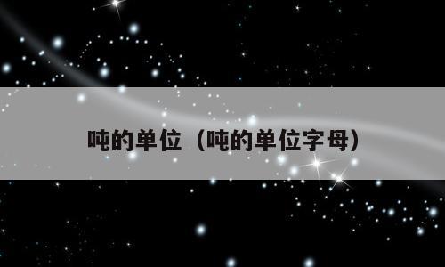 吨的单位（吨的单位字母）