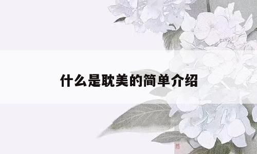 什么是耽美的简单介绍