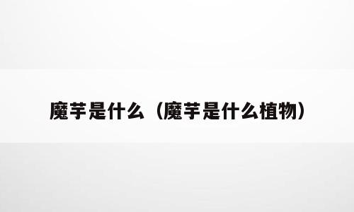 魔芋是什么（魔芋是什么植物）