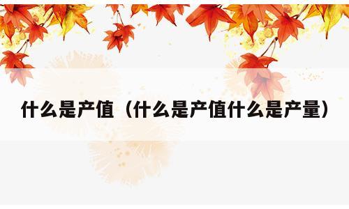什么是产值（什么是产值什么是产量）