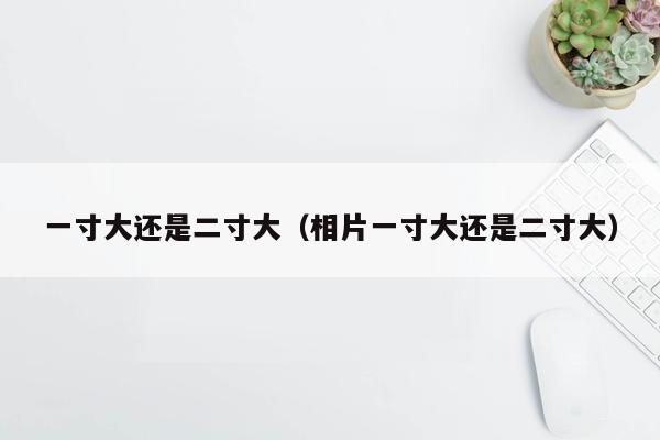 一寸大还是二寸大（相片一寸大还是二寸大）