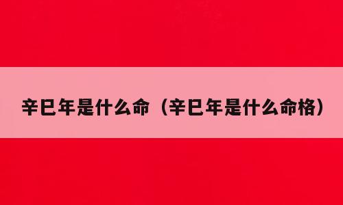 辛巳年是什么命（辛巳年是什么命格）