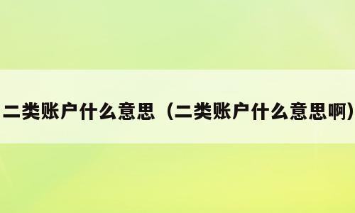 二类账户什么意思（二类账户什么意思啊）