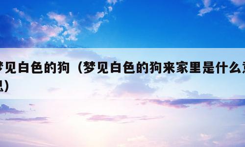 梦见白色的狗（梦见白色的狗来家里是什么意思）