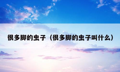 很多脚的虫子（很多脚的虫子叫什么）