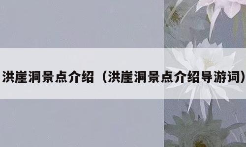 洪崖洞景点介绍（洪崖洞景点介绍导游词）