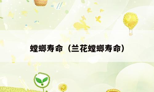 螳螂寿命（兰花螳螂寿命）