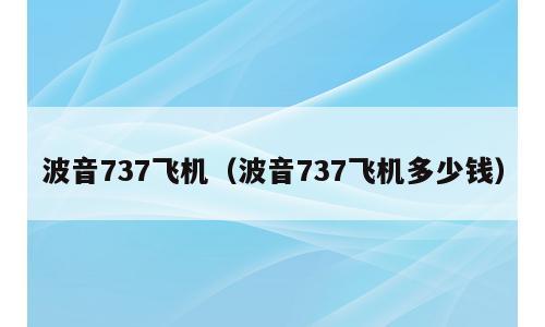 波音737飞机（波音737飞机多少钱）
