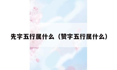 先字五行属什么（赞字五行属什么）