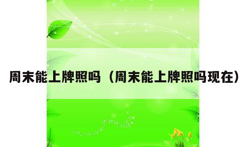 周末能上牌照吗（周末能上牌照吗现在）