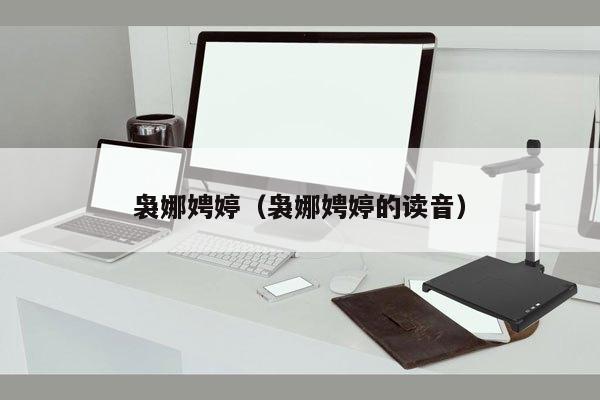 袅娜娉婷（袅娜娉婷的读音）